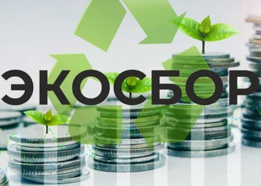 Экосбор 2026: инструкция для импортеров